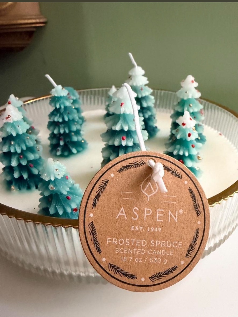 Aspen Frosted Spruce Blue-Green Tree Candle Set